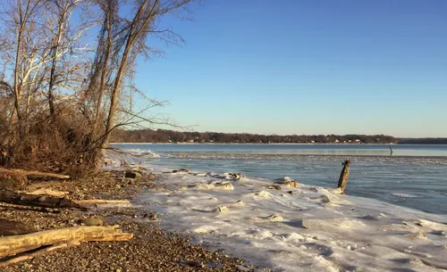 The Potomac River shoreline with bare trees and drifting ice