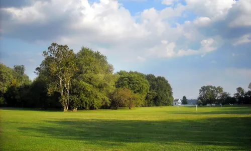 Lush green field in the south section of the park