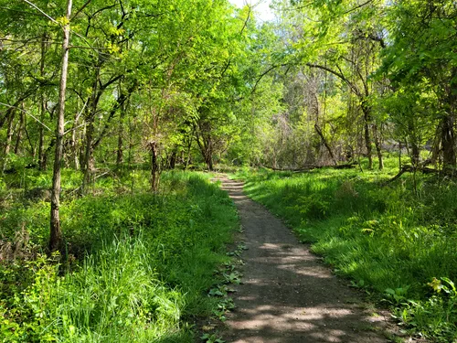 A trail takes visitors through the forested area