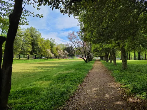 A tree-lined path stretches from Blanton Avenue to the carillon