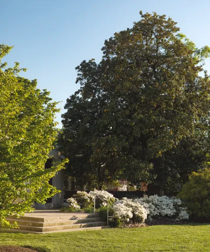 Lush greenery and flowering shrubs fill a quiet corner of the park