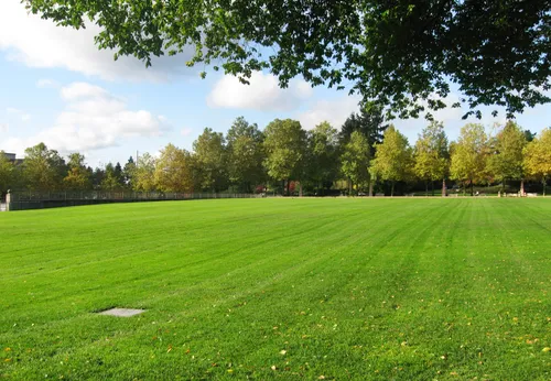 Manicured open field showcasing the park's pristine landscaping