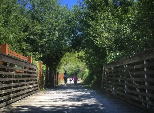 A small wooden bridge crosses Kelsey Creek under a lush green canopy