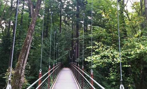 Suspension bridge stretches through dense greenery at the Ravine Experience
