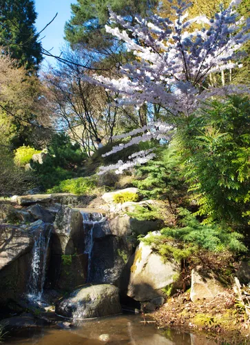 Waterfall cascades over rocky terrain in the botanical garden