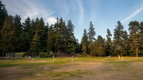 Open grassy field surrounded by evergreen trees