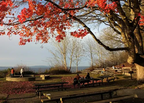 Picnic area with vibrant fall colors and water views