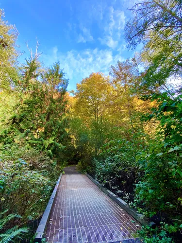 Metal bridge on Pipers Creek Trail
