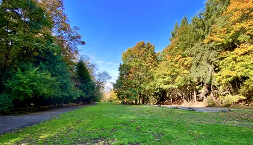 Lush vegetation inside the park