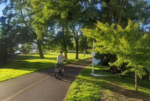 A cyclist rides along the tree-lined Elliott Bay Trail