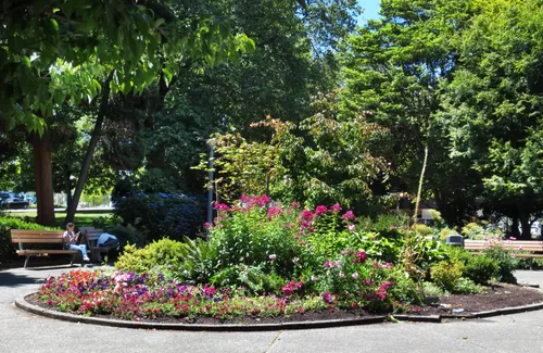 Colorful floral display in a garden bed at Denny Park