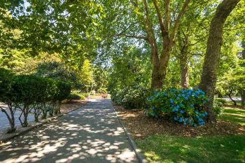 Pathway under lush trees and greenery