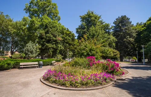 Vibrant pink and purple flowers in the park's central clearing