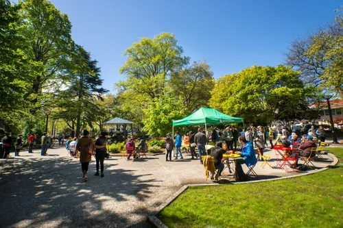 Community event with tents drawing crowds to the park