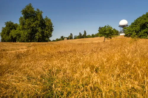 Rolling meadow landscape with a radar dome in the distance