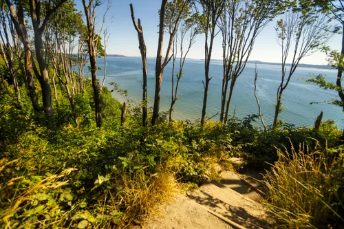 Looking down toward the waters of Puget Sound