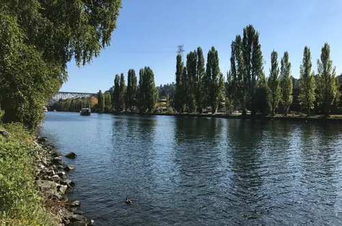 Tall poplar trees line the shores of Fremont Cut