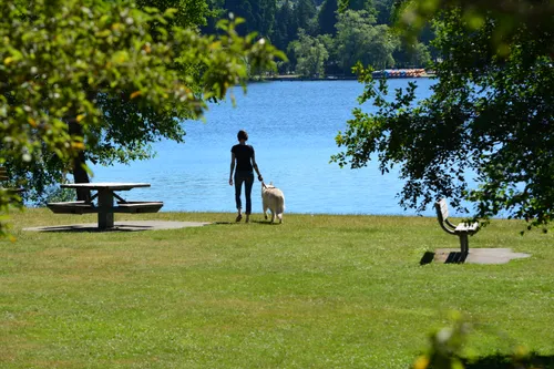 Picnic area with lakeside views at the park