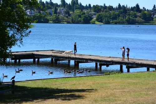 Wooden dock extending into the calm waters of Green Lake