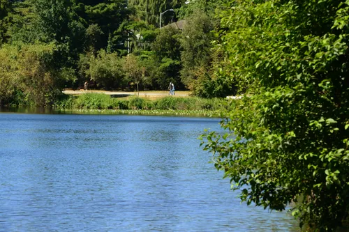 Lush greenery frames the shoreline