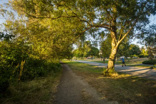 Sunny pathway with warm afternoon light filtering through trees