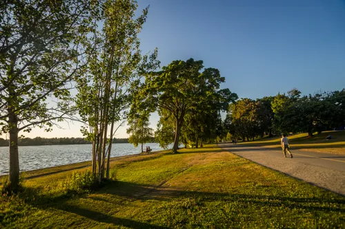 Wide grassy area beside the water's edge