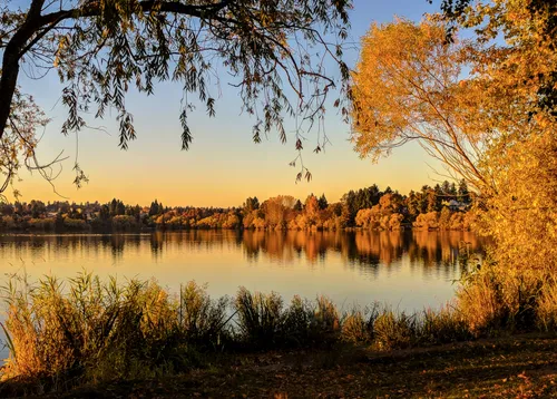 Autumn colors reflected in the still waters at dusk