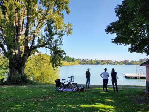 Visitors at the grassy lakefront