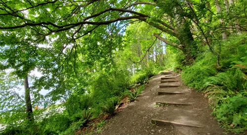 A trail ascends through the lush green forest along the water