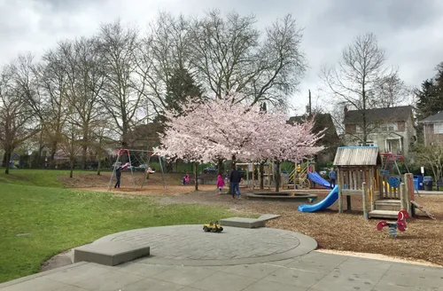 A view of the playground area on a cloudy spring day