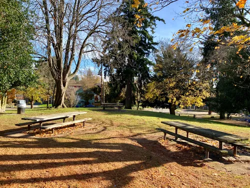 Wooden benches and picnic tables on a sunny autumn day