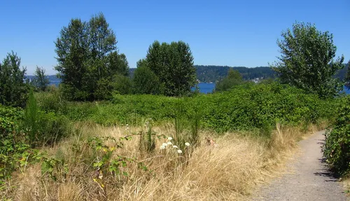 Many small paths like this wind through the park landscape