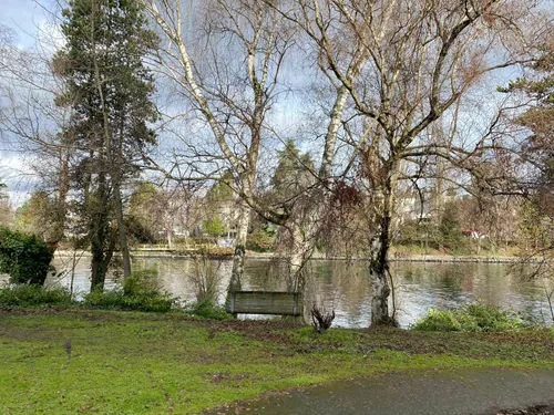 Bare trees line the water's edge in early spring
