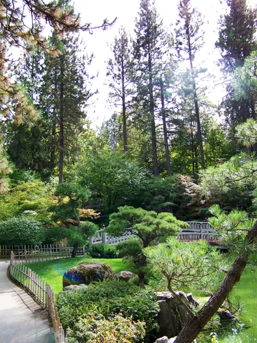 Lush greenery in the Japanese Garden