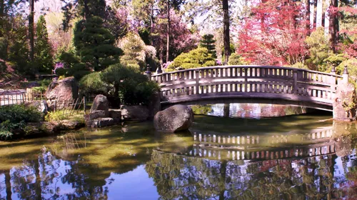 Curved wooden bridge across the garden pond