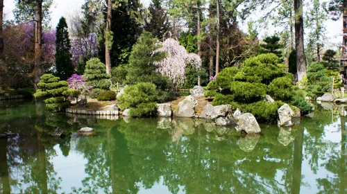 Peaceful water feature with natural rock formations