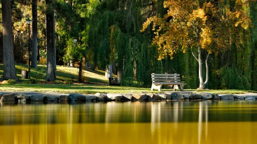 Autumn trees cast golden reflections on Mirror Pond's surface