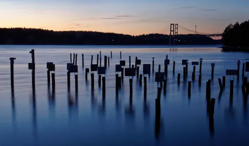 Old dock pilings stand in the water near Titlow Beach, with the Tacoma Narrows Bridge visible behind