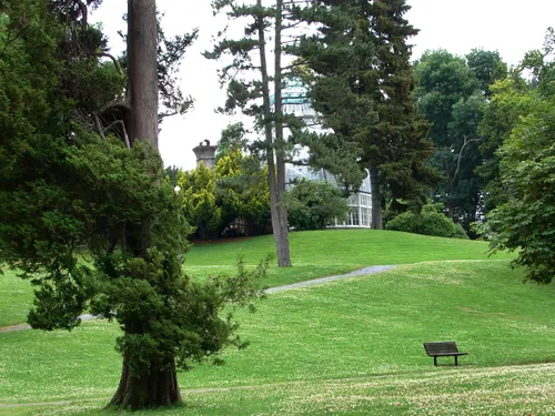 Gently sloping green lawn near the conservatory