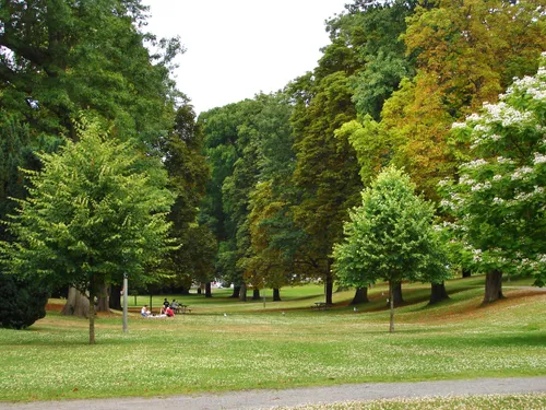 Lush spring greenery on the park grounds