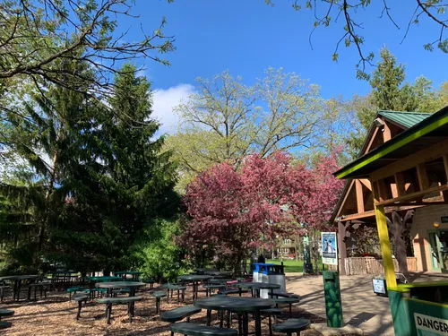 Spring blossoms near the zoo entrance