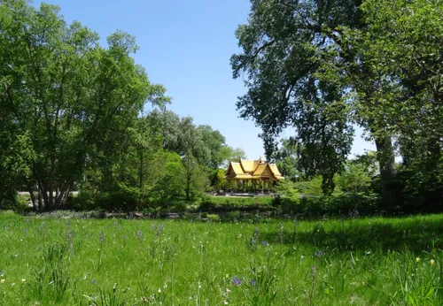 Lush green meadow area on a sunny day