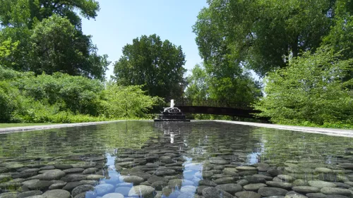 Serene pond with smooth stones