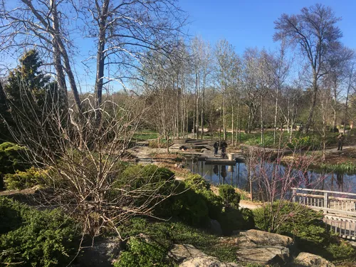 Early spring view across the pond with emerging vegetation
