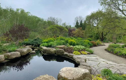 Stone-edged pond with meandering garden path