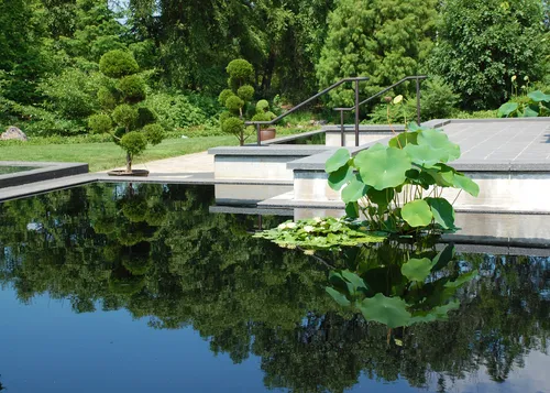 Modern garden design incorporates clean lines and water elements