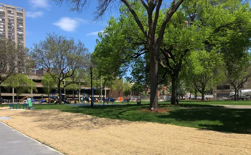 View of the lawn and playground area
