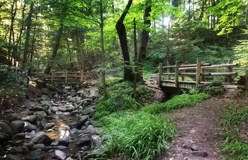 This path is aptly called the Seven Bridges Trail